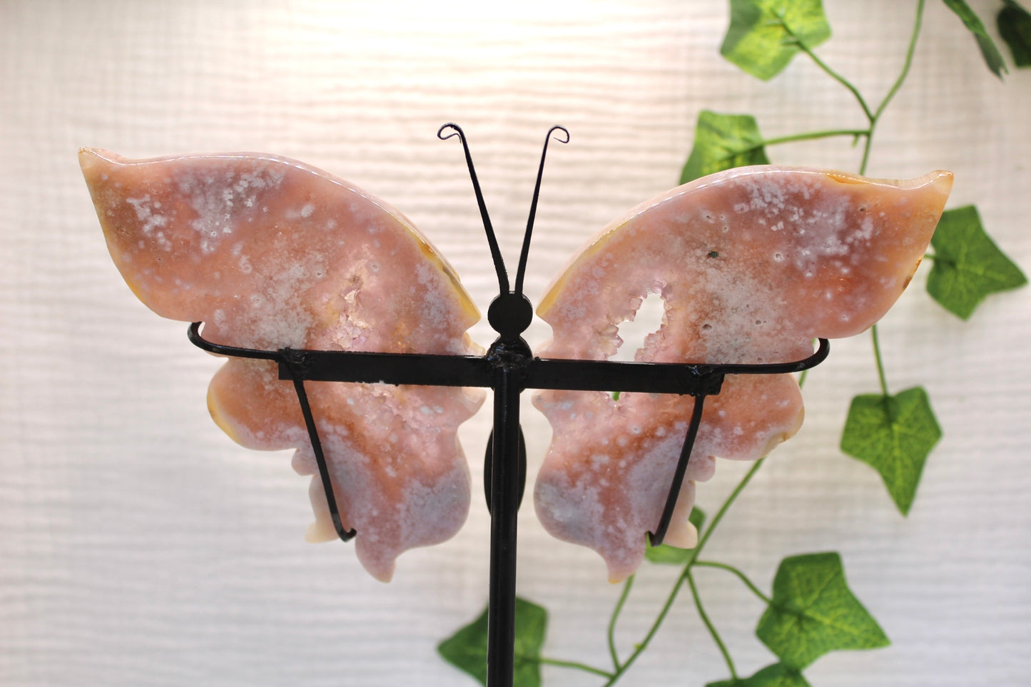 Flower Agate Wings