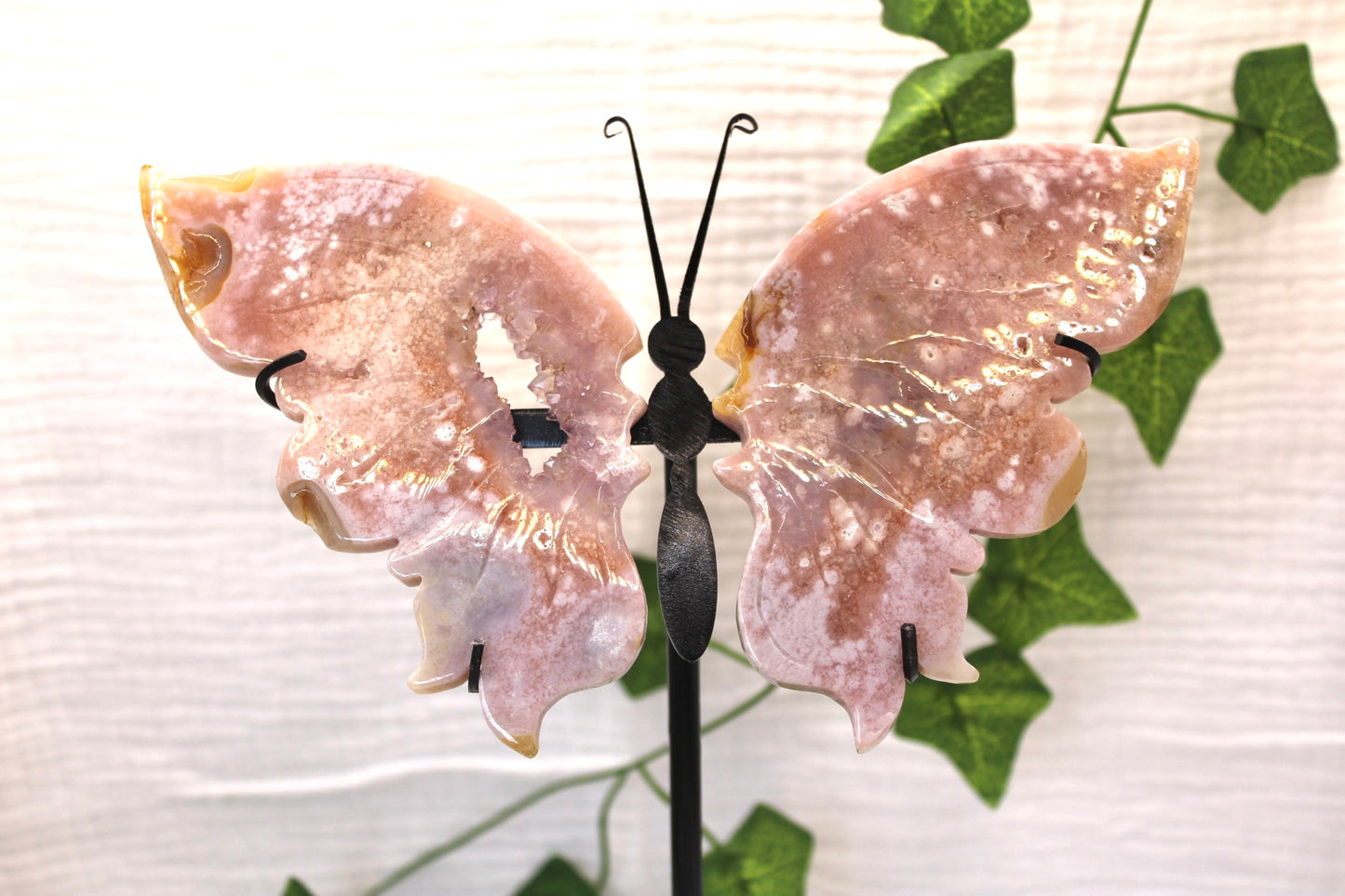 Flower Agate Wings