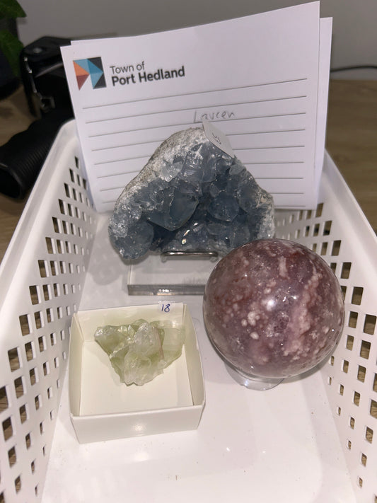 Lauren’s Live Sale Claims