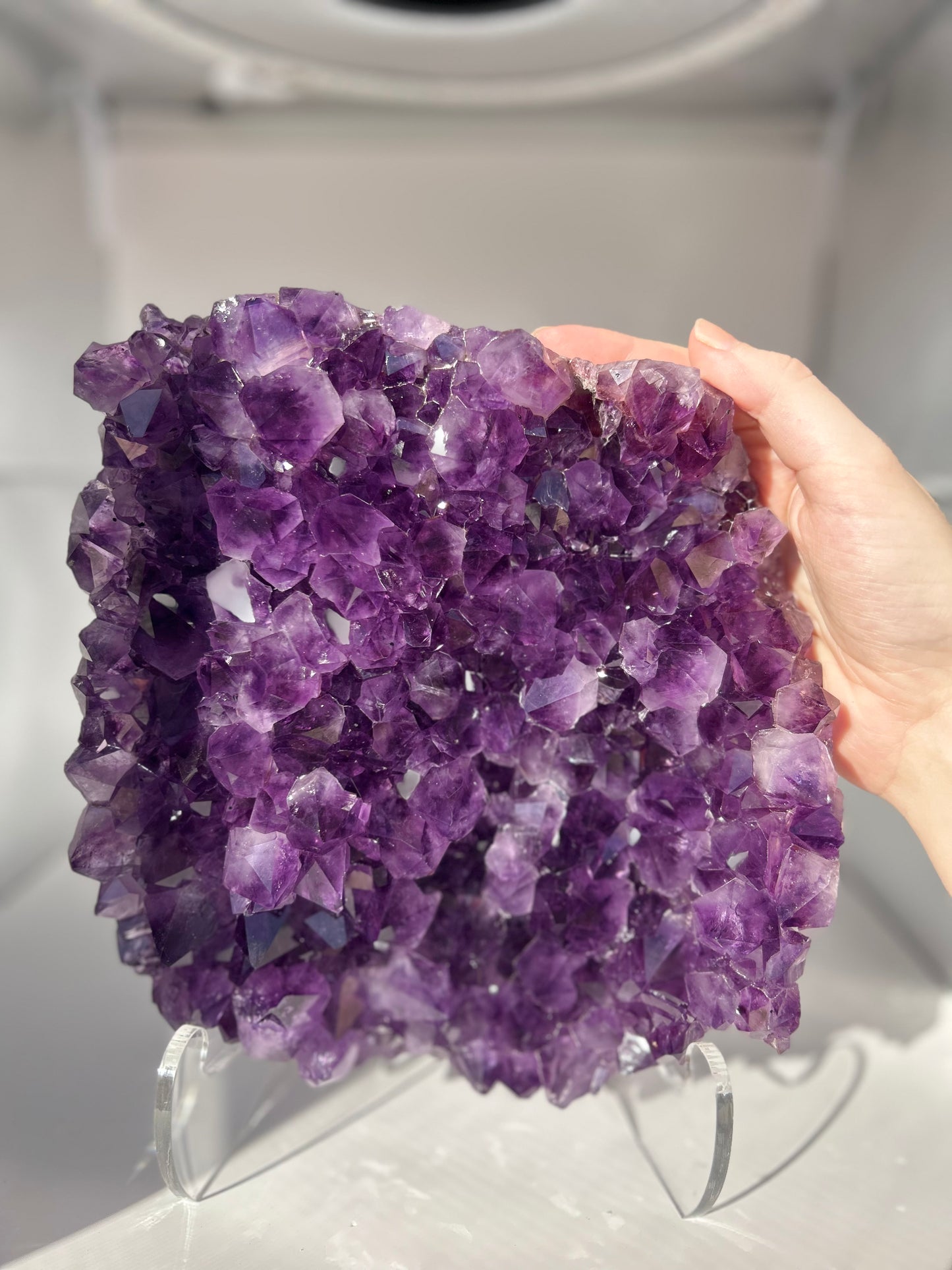 Amethyst Cluster